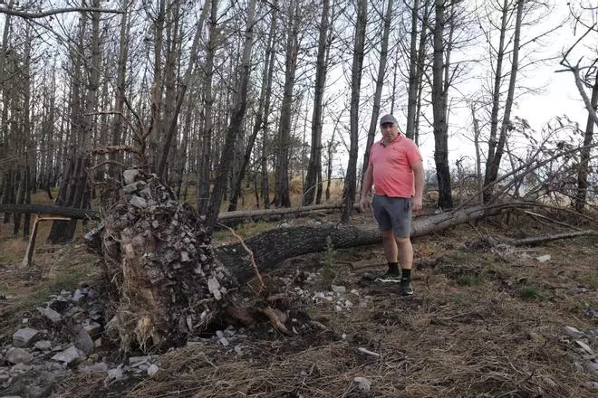 En imágenes | Así están los montes asturianos afectados por los incendios de hace un año