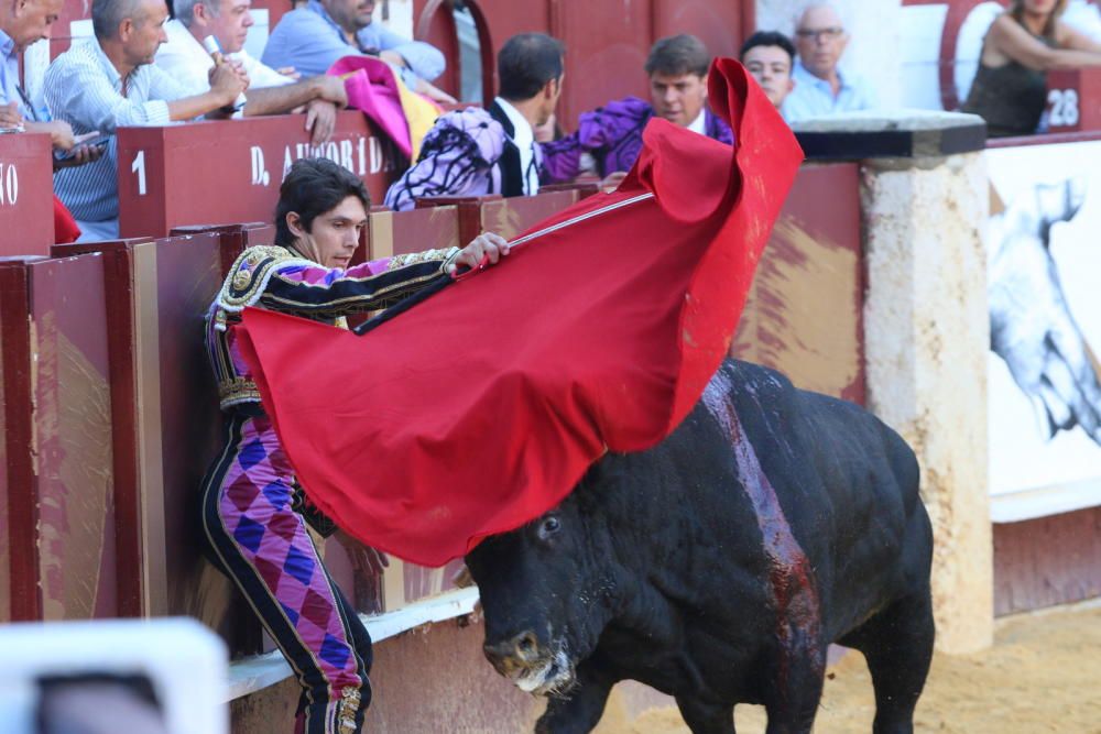 Toros | Corrida Picassiana de la Feria de Málaga