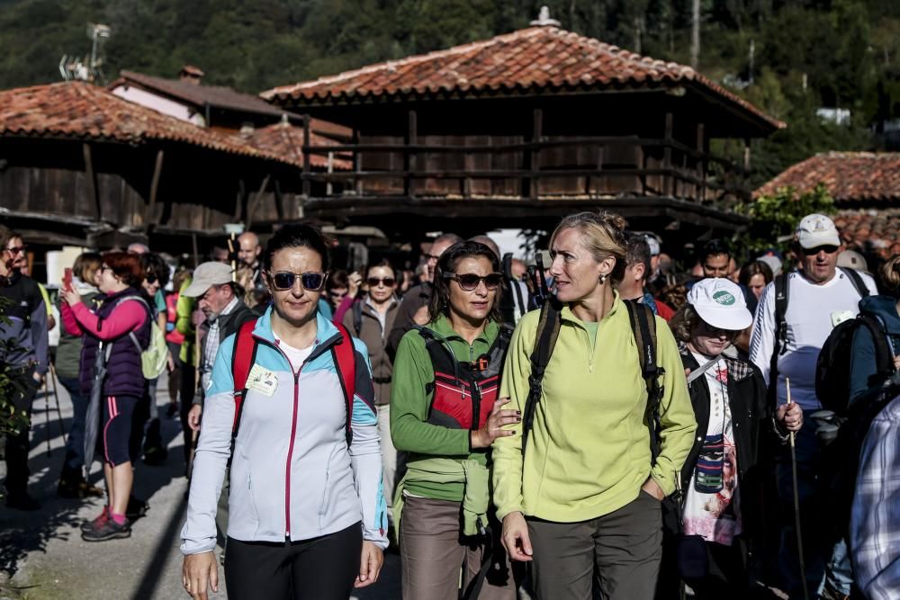 Ruta de las Santas Reliquias, entre Oviedo y el Monsacro