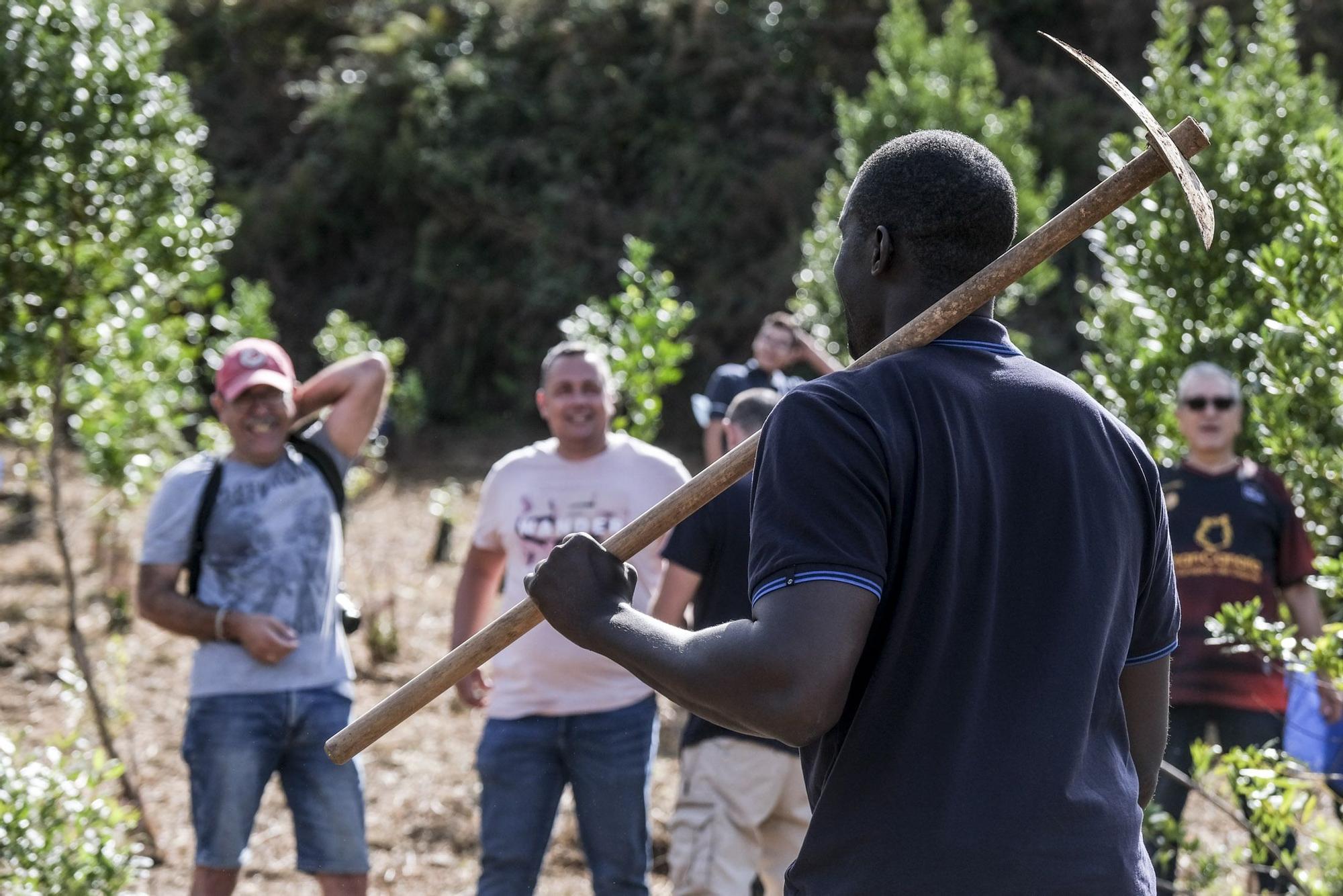 Reforestación Compromiso Granca