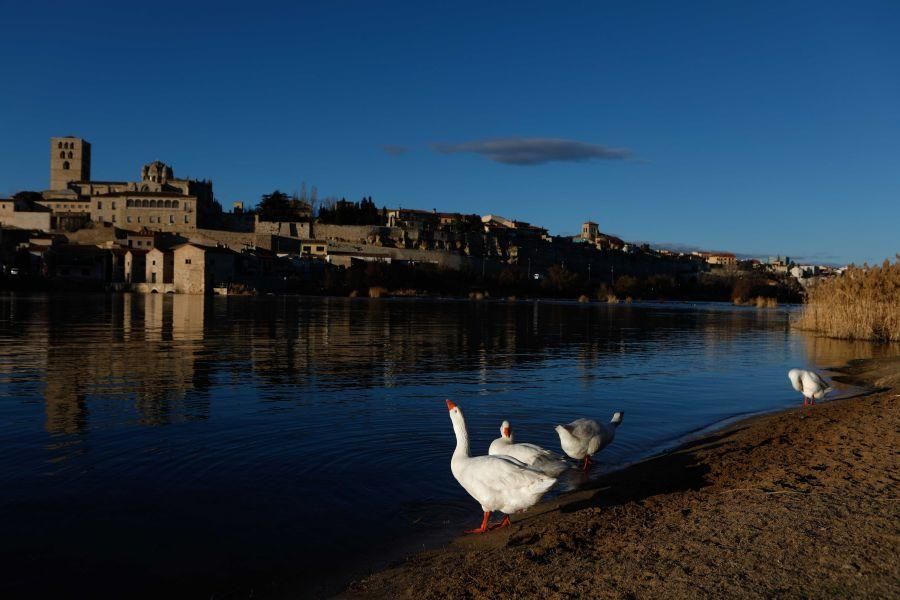 El Duero tras el deshielo