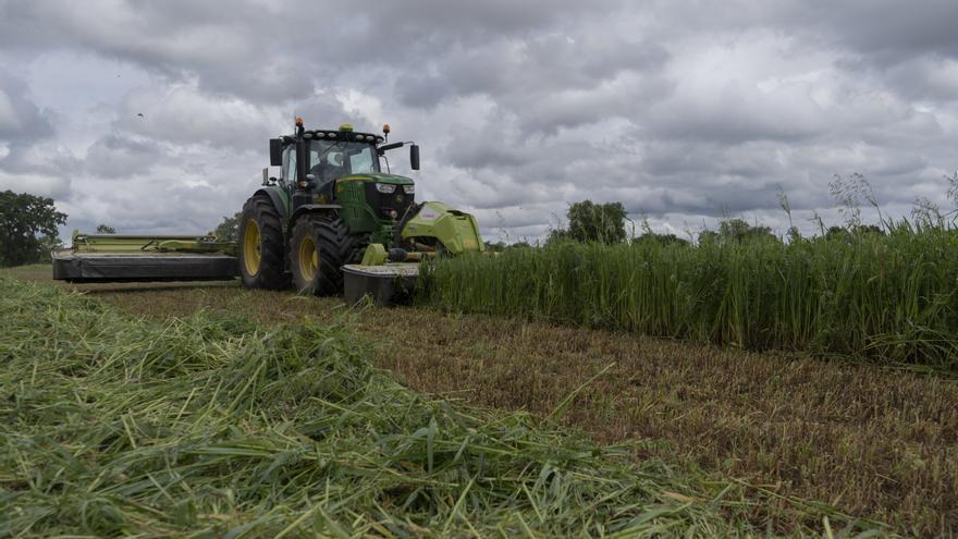 Los agricultores ya pueden actualizar los datos de la campaña agrícola 2023-2024