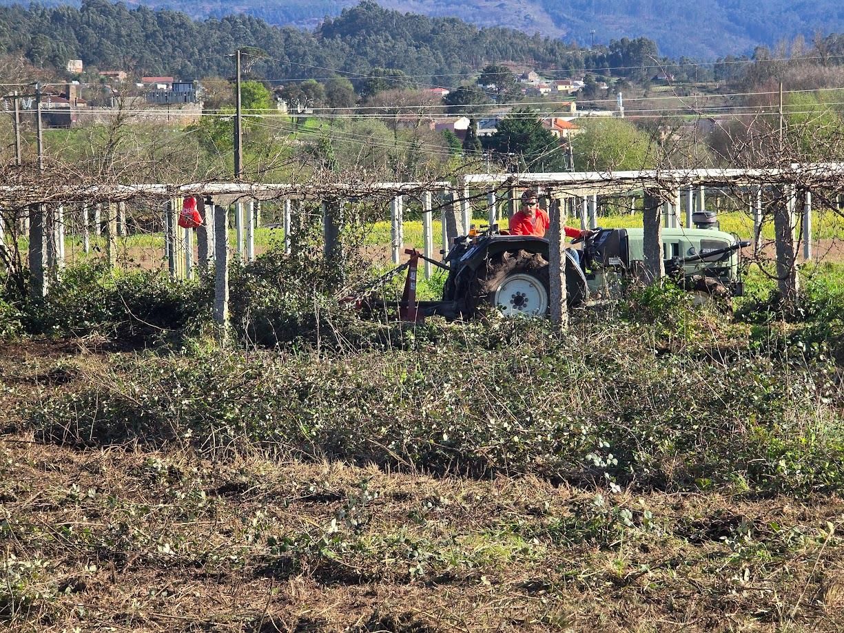 Arousanos aprovechando el buen tiempo para preparar sus tierras de cultivo.