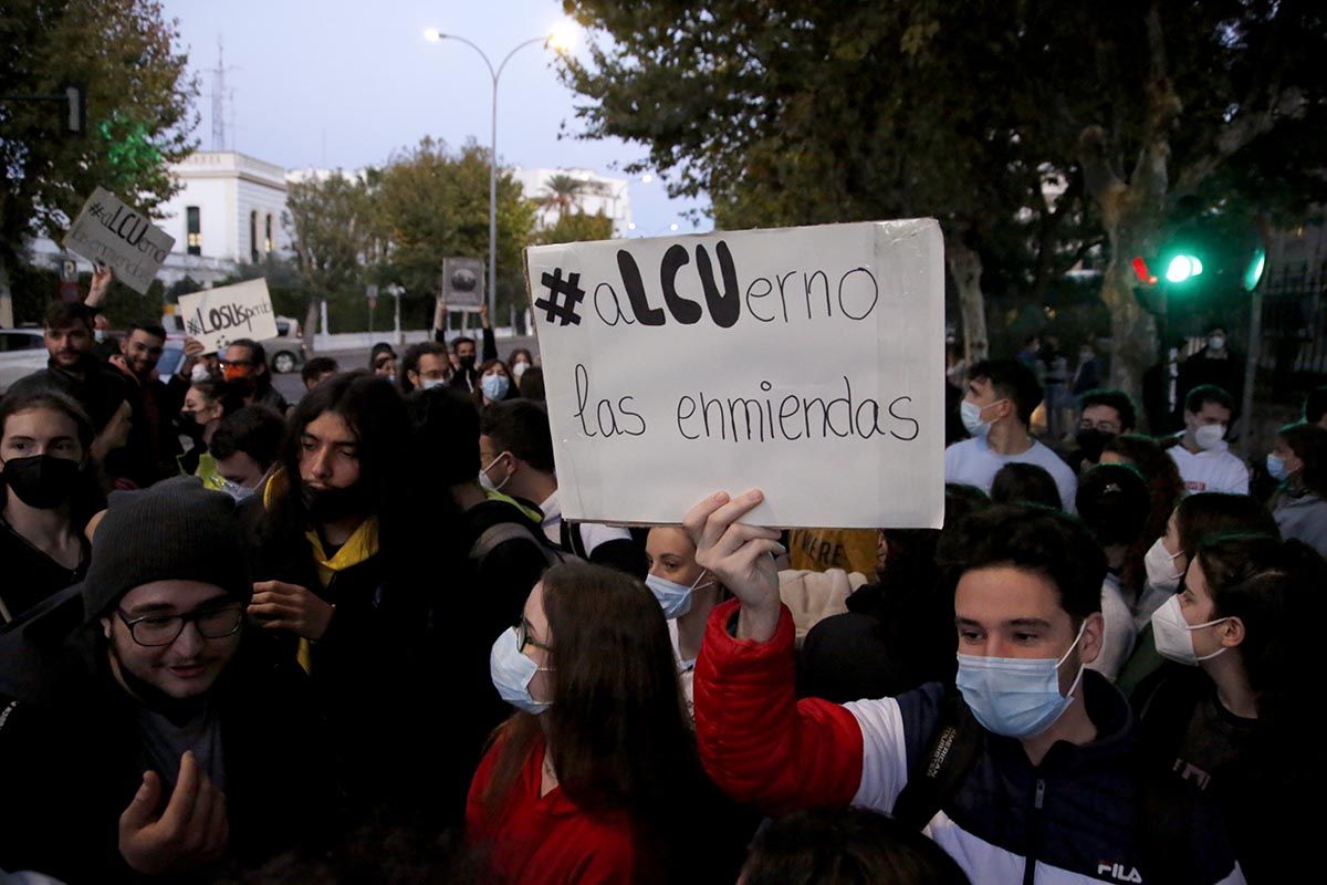 Protesta de los universitarios cordobeses por la LOSU