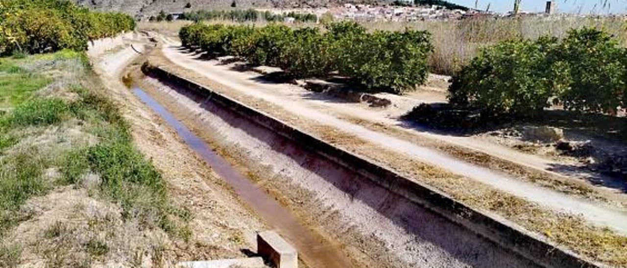 La Real Acequia de Carcaixent sin agua a la altura de Antella.