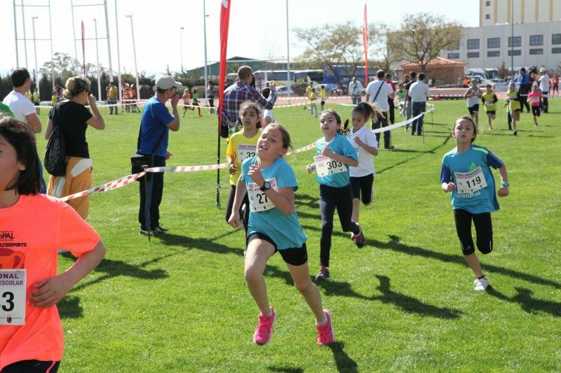 Final Regional de Campo a Través en Edad Escolar