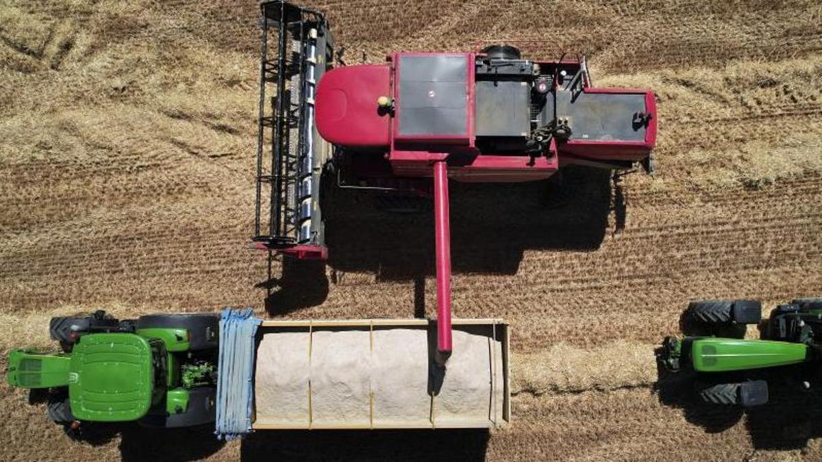 El campo de Castilla y León exige 150 millones en ayudas directas ante la «crisis extrema» del cereal