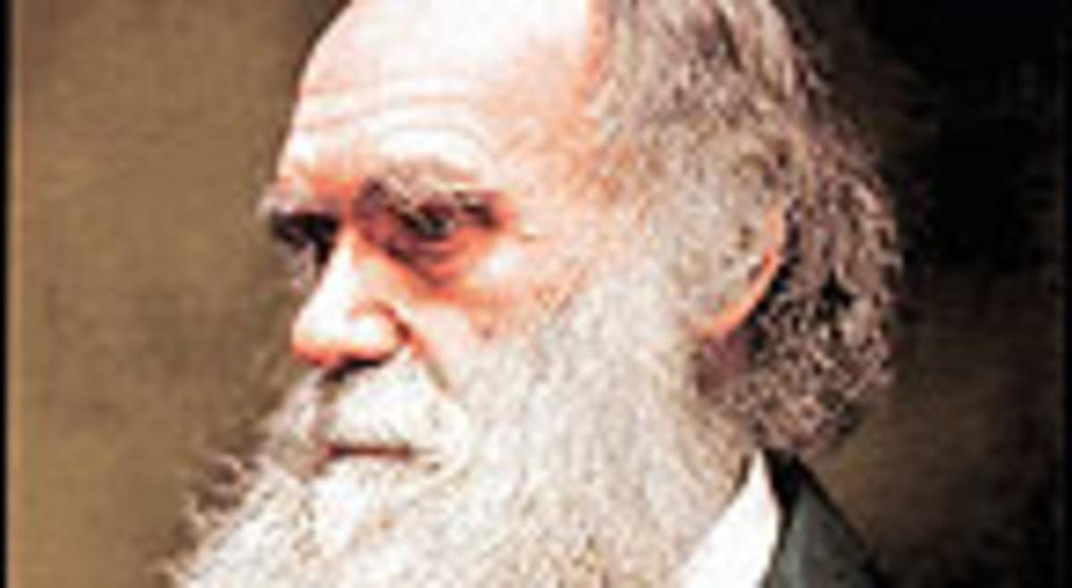 Darwin. Darwin.