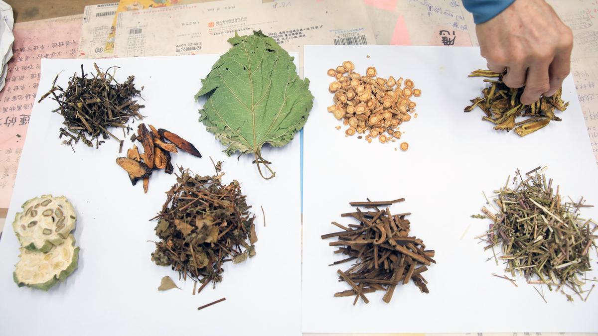 Plantas medicina tradicional china