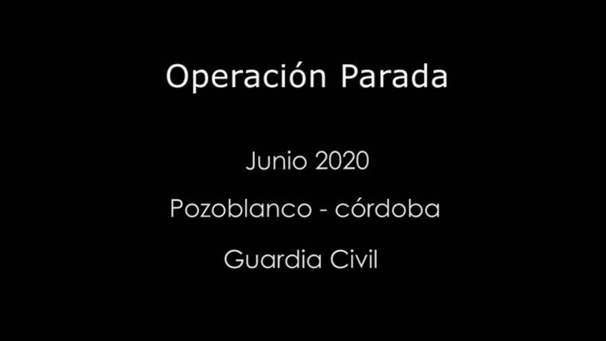 Desarticulado en Pozoblanco un grupo dedicado al tráfico de drogas