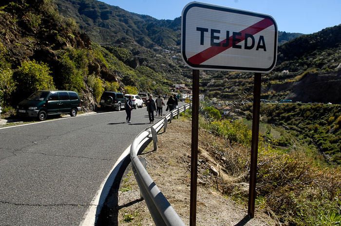 FIESTAS DEL ALMENDRO EN FLOR TEJEDA