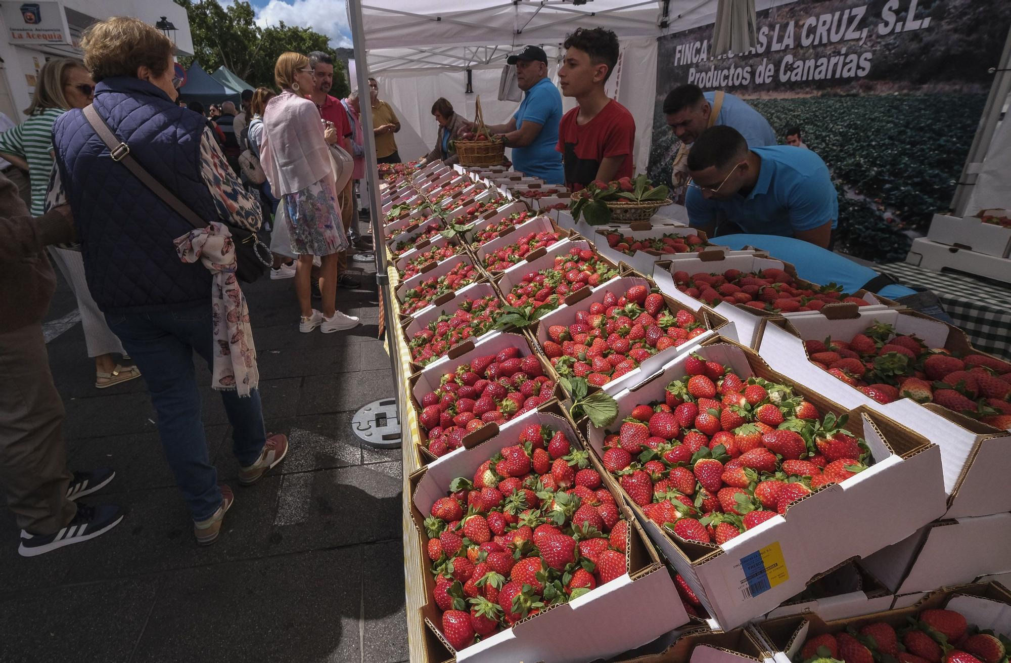 Feria de la Fresa de Valsequillo