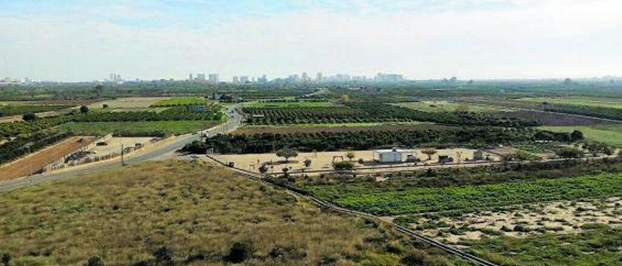 Campos abandonados junto a cultivados en el término de la Pobla de Farnals. | A.P.