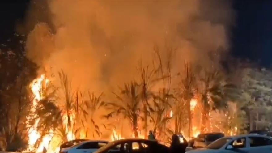 Un incendio en el Malecón alerta a los vecinos de Murcia y afecta a varios vehículos