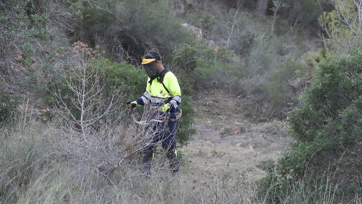 Limpieza del barranco junto a la urbanización Alfinach