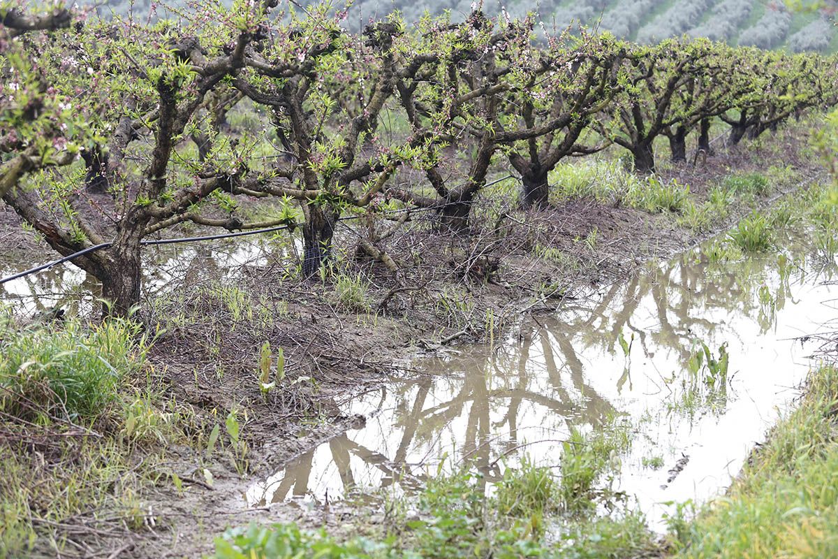 Los efectos de la borrasca Nelson en el campo cordobés