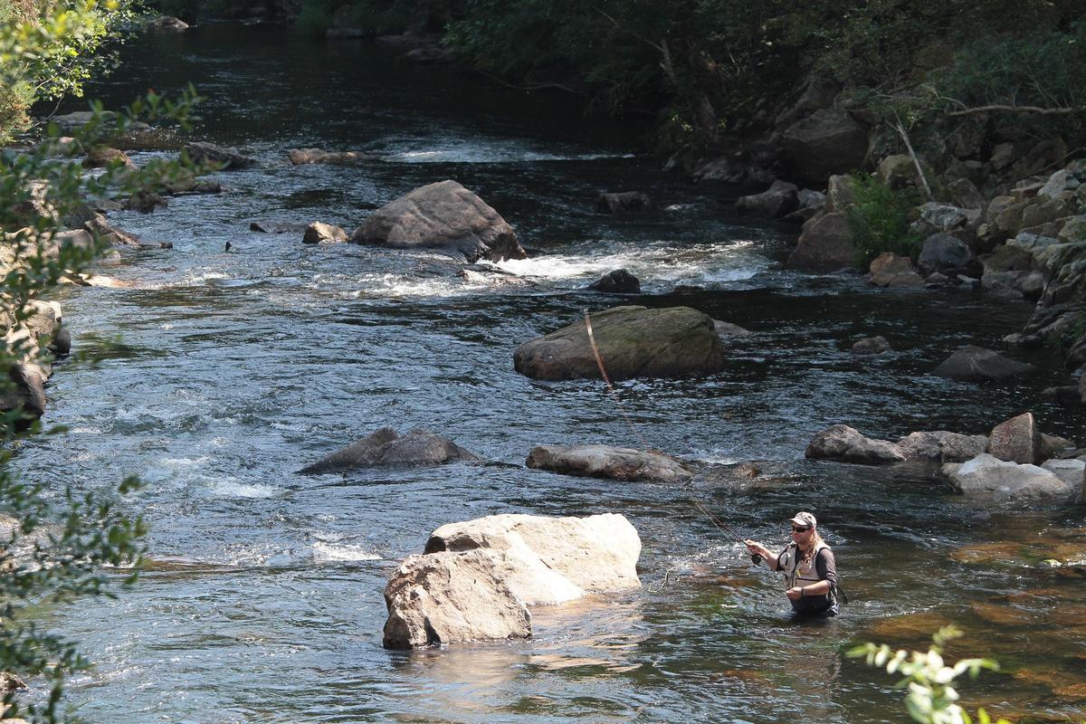 Campeonato autonómico de salmónidos en el Deza