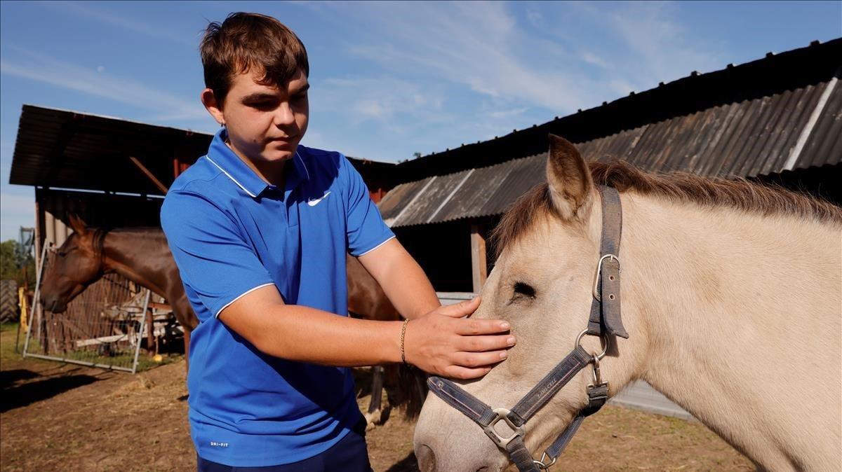 zentauroepp54816862 french farrier remy marechal shows the eye of his injured ho200909125011