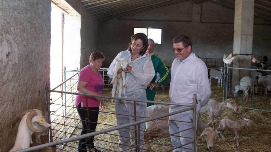 Reforzarán las pequeñas explotaciones ganaderas