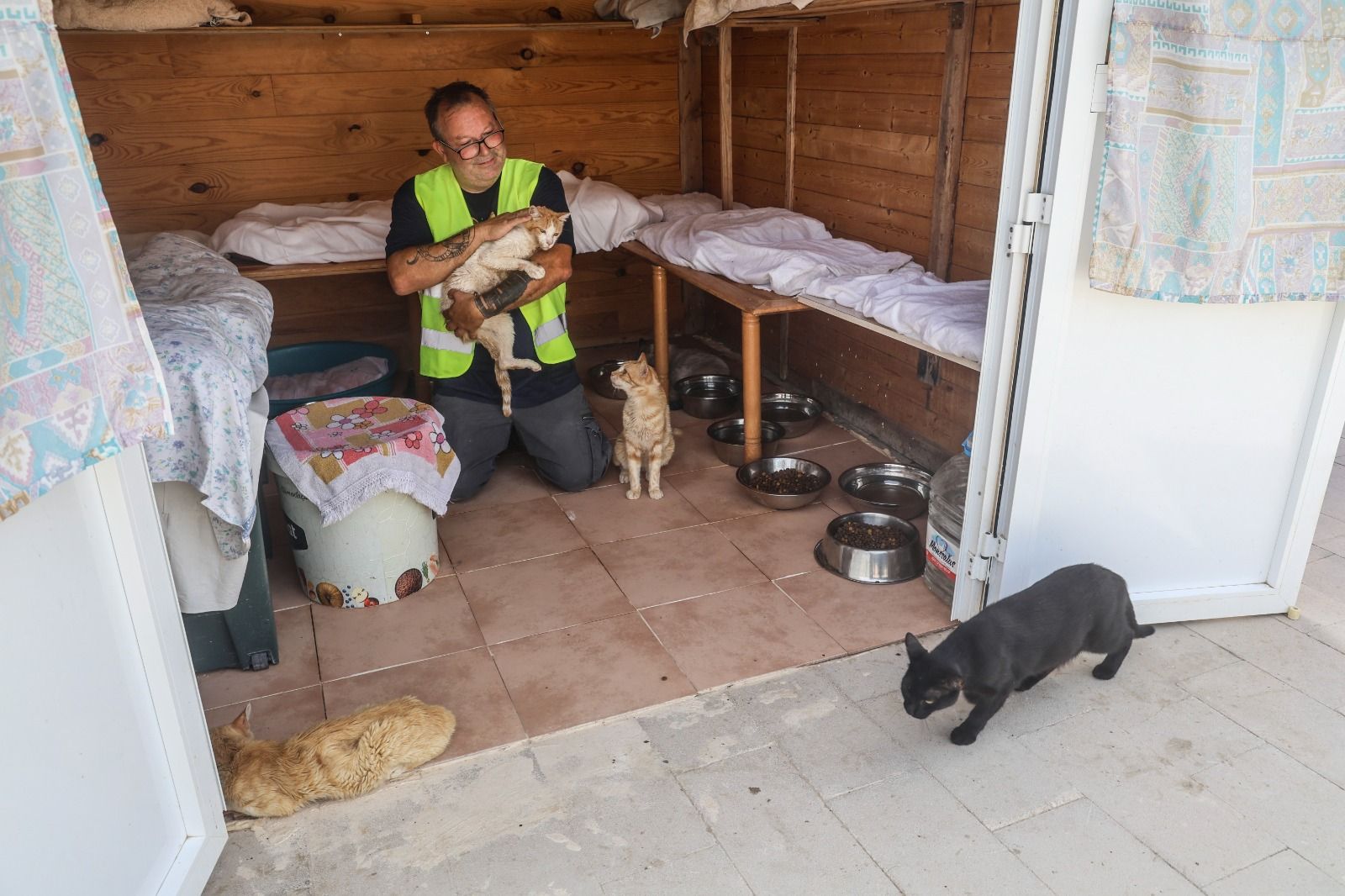 En riesgo el futuro de 400 gatos de Alicante debido a la delicada situación de su protectora