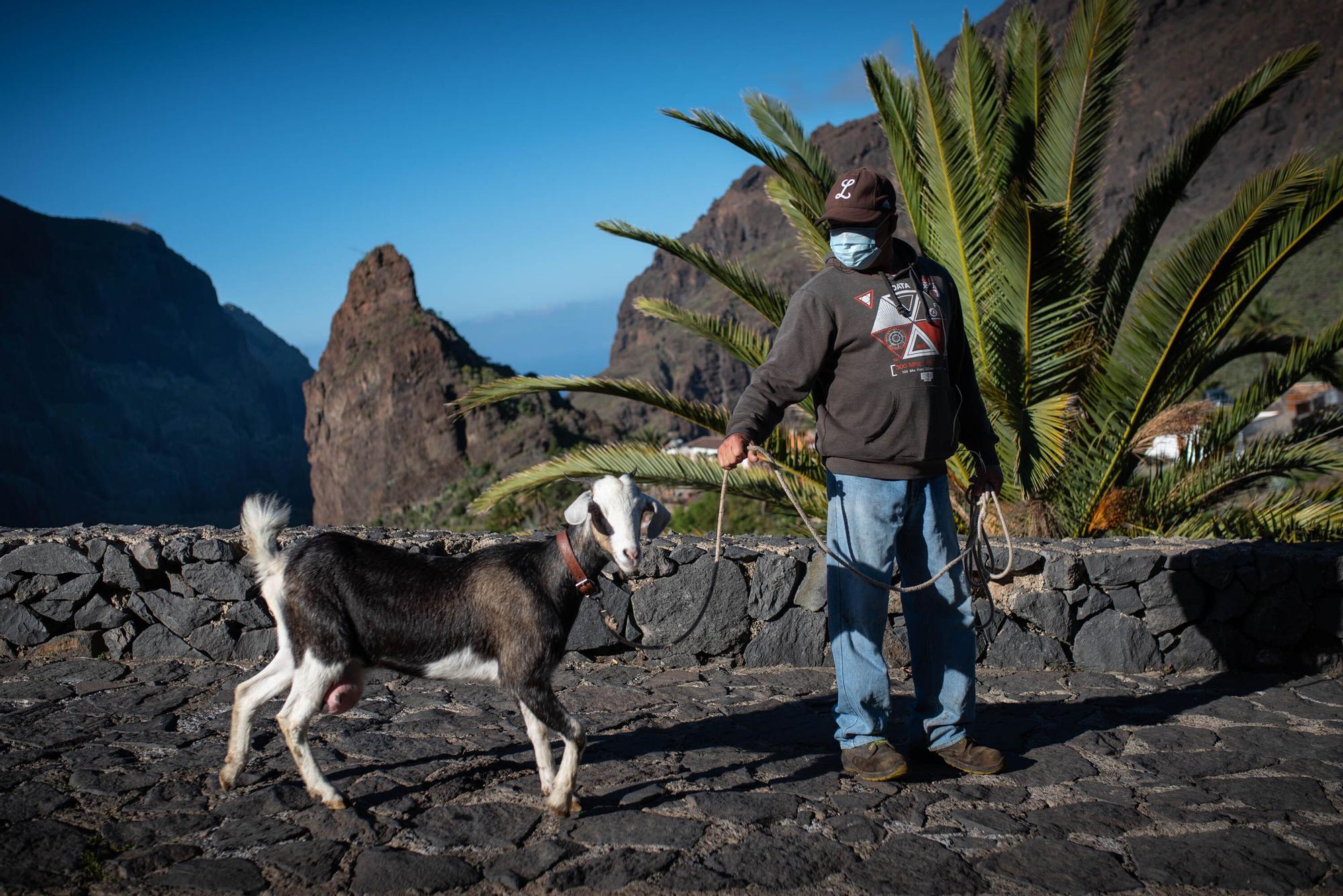 Barranco de Masca