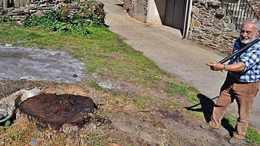 Uno de los cuatro nogales talados en Calabor por el Ayuntamiento de Pedralba de la Pradería.