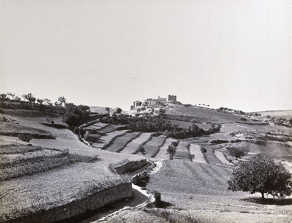 Vinya campa a peu del poble de Mirambell, l’any 1890