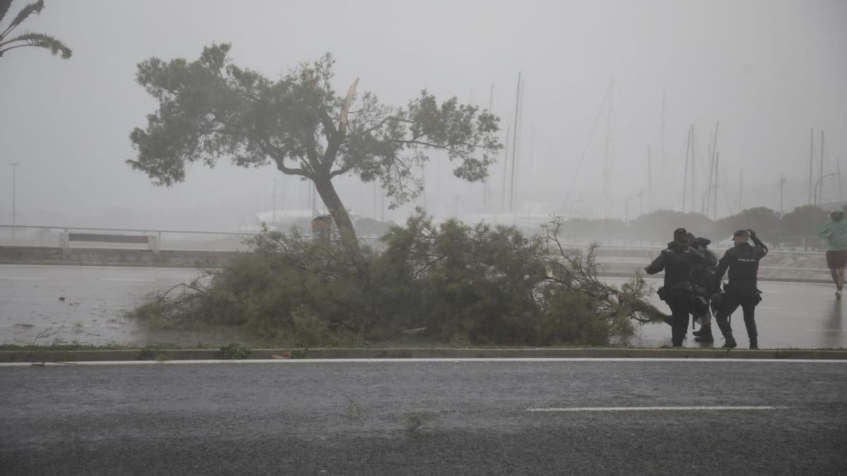 Tormentas