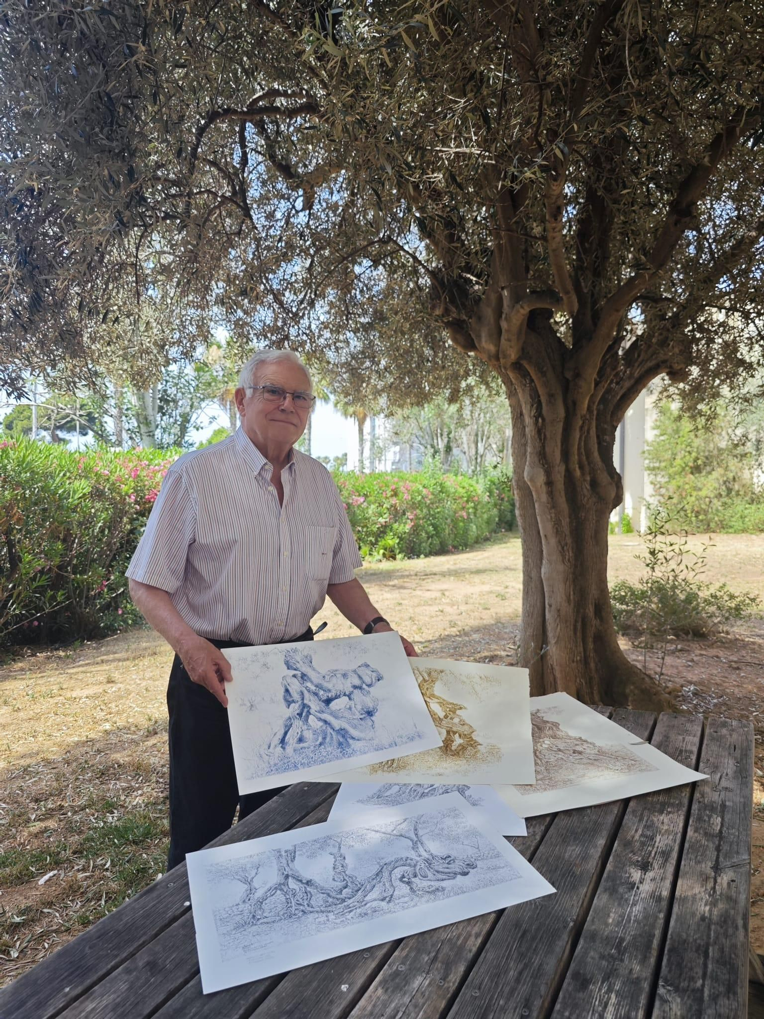 SERRA DE TRAMUNTANA | Los olivos de Miquel Trias, en imágenes