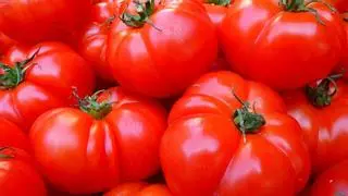 ¿Qué pasa en tu cuerpo si comes un tomate diario?
