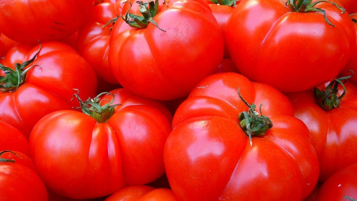 ¿Qué pasa si comes un tomate diario?