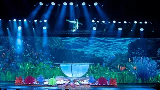 Benidorm Palace: cena, espectáculo y celebraciones en el corazón de la Costa Blanca