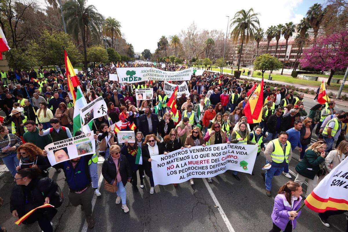 Cientos de manifestantes a pie acompañan a los tractores en la protesta del campo este domingo en Córdoba.