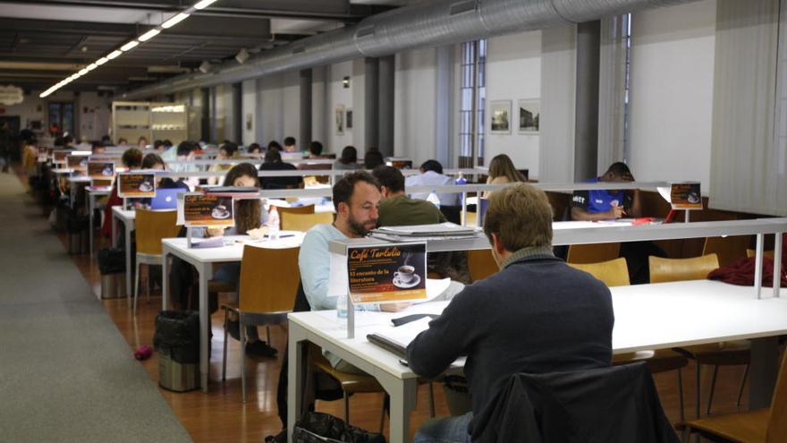 Varios alumnos estudian en la biblioteca.