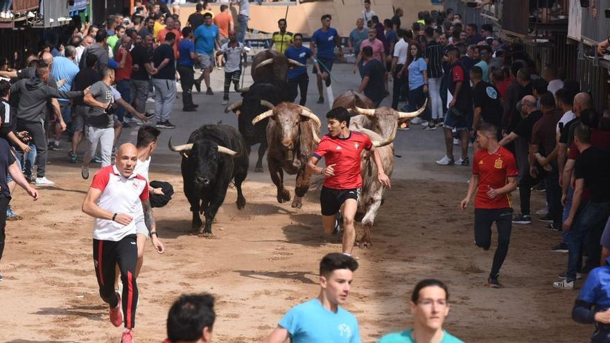 Cientos de aficionados han disfrutado del primer encierro de las fiestas de Sant Pasqual.