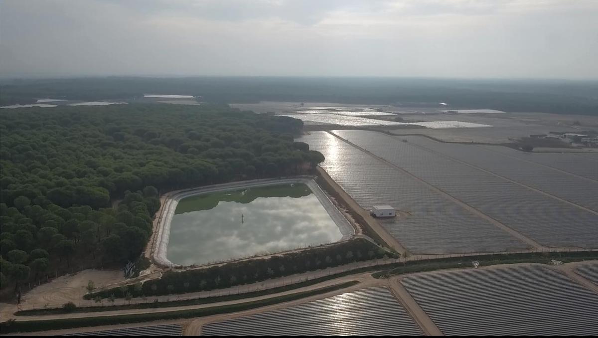 Regadíos en la zona de Doñana