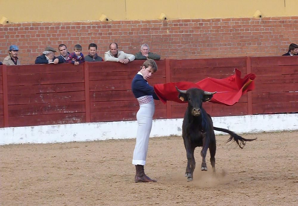 Bolsín Taurino de Fuentesaúco