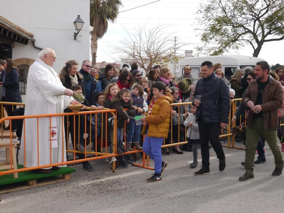 Fiesta de Sant Antoni Abad de Vera