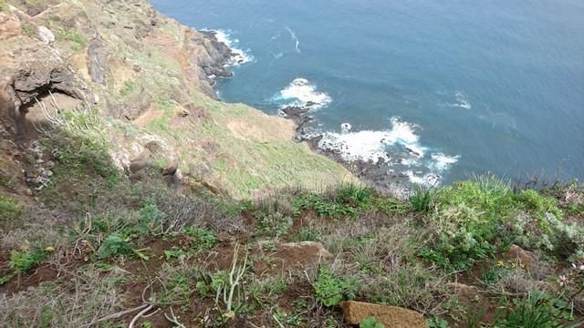 Fallece al despeñarse en Punta del Hidalgo