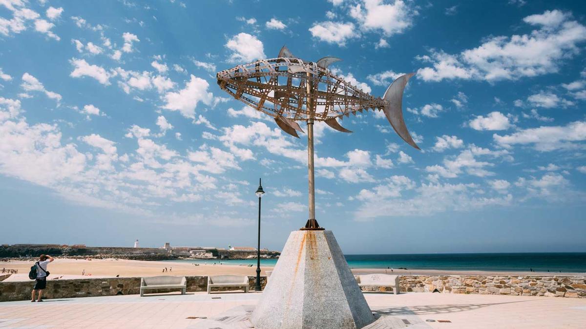 Veleta con forma de atún en Tarifa (Cádiz)