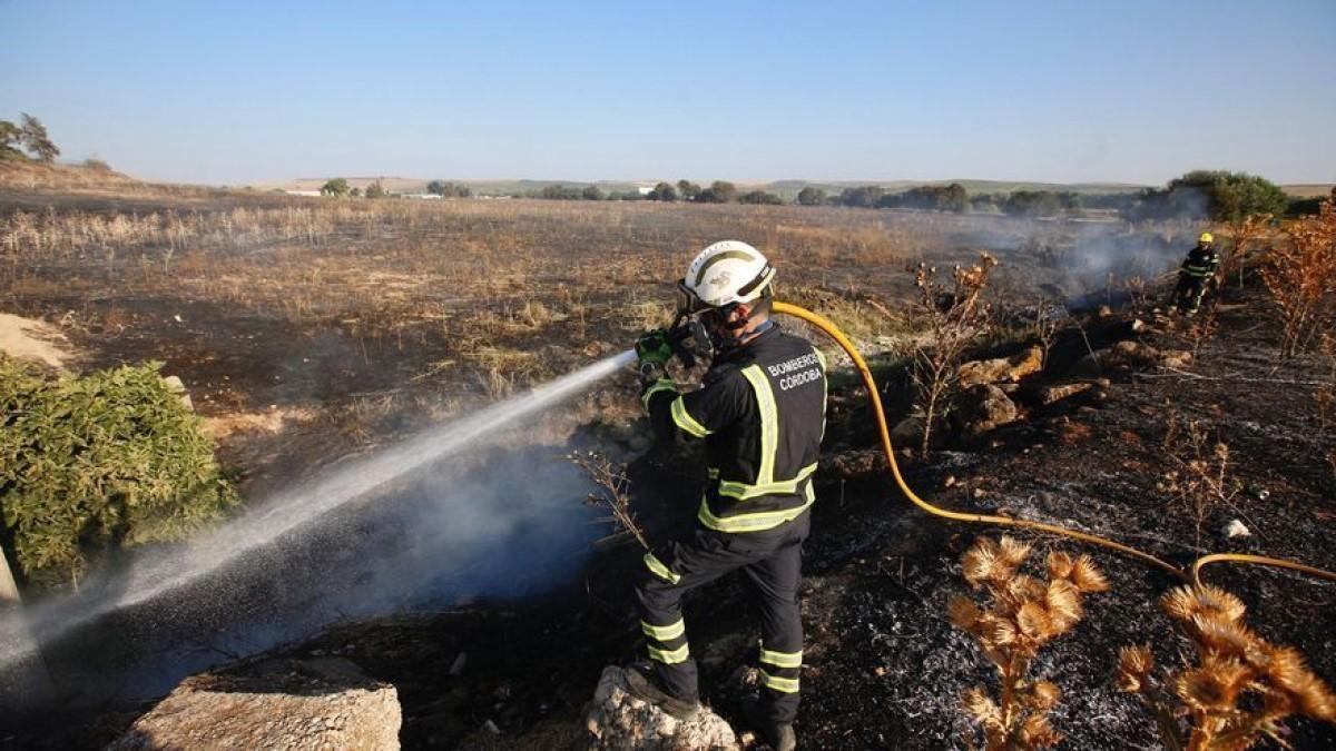 Los bomberos sofocan el fuego de una cosechadora en un campo de ...