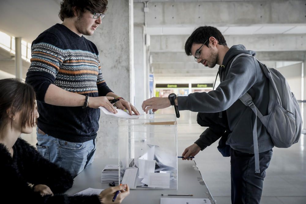 La UIB vota en referéndum: ¿Monarquía o República?