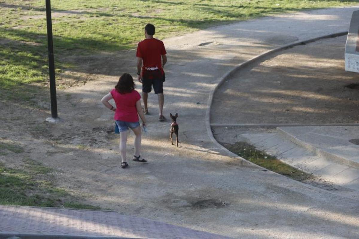 Una pareja fuma en el césped de un parque de Zaragoza. | ANDREEA VORNICU
