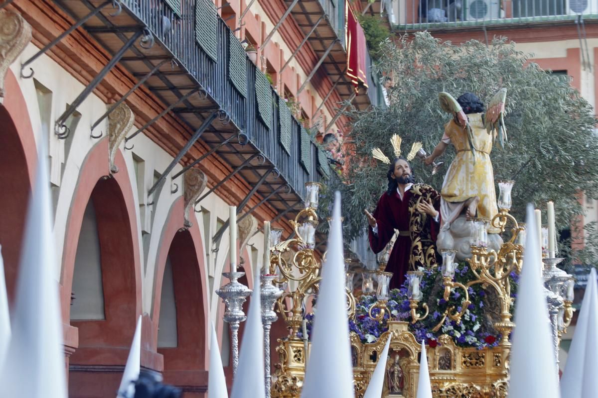 FOTOGALERÍA / Hermandad del Huerto