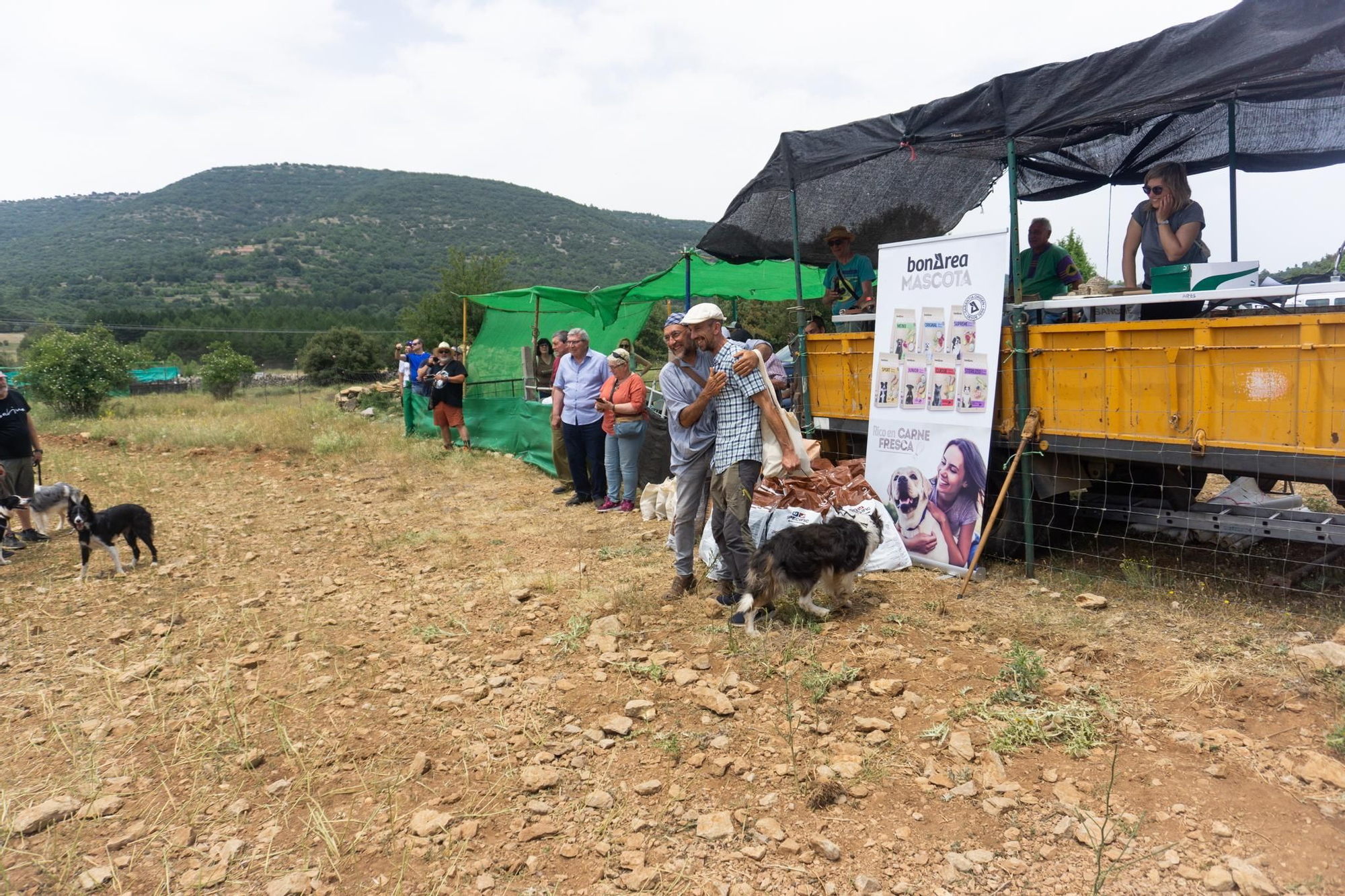 FOTOGALERÍA: Las imágenes del concurso de perros pastores de Ares del Maestrat