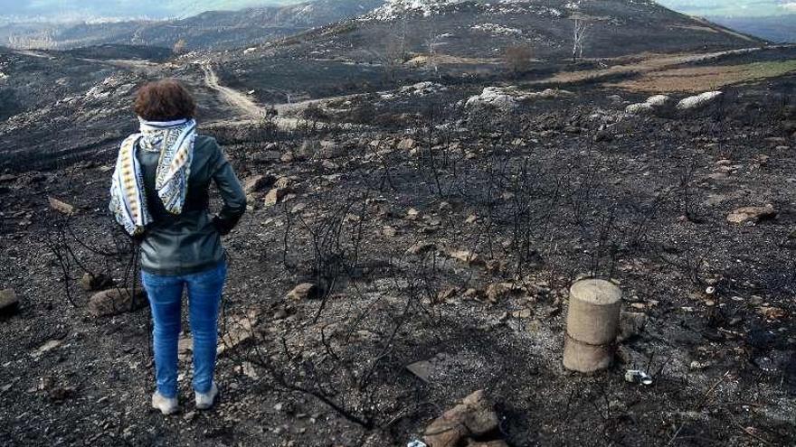 Una mujer observa los destrozos del fuego desde el monte. // R.V.