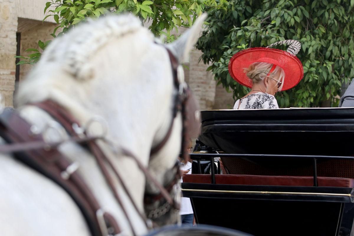 4º Concurso Internacional de Atalaje de Tradición en Cabalcor 2018