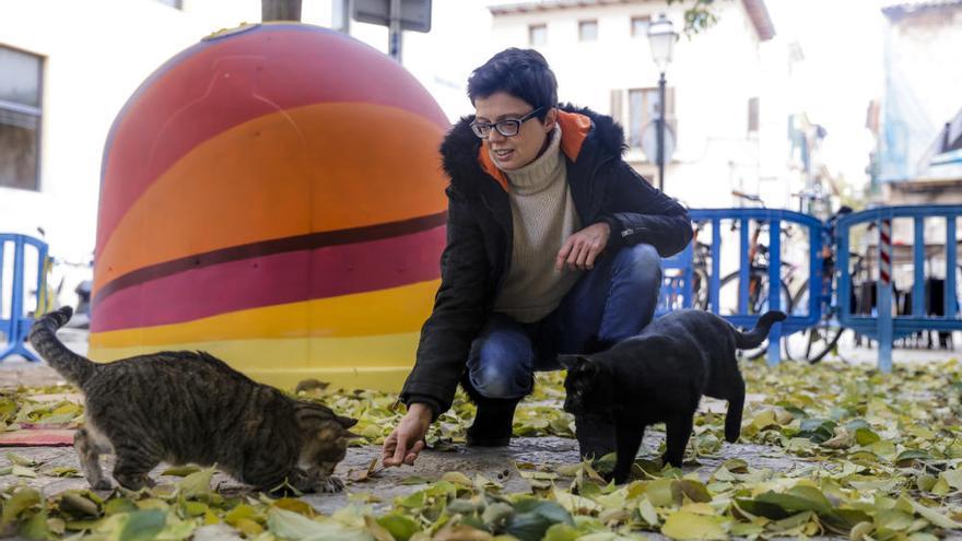 Mercedes Agüero, cuidadora de gatos