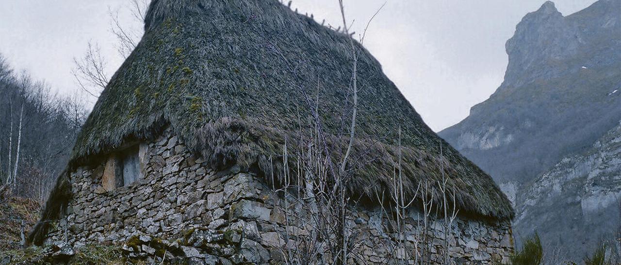 Una cabaña de cubierta de escoba o teito.