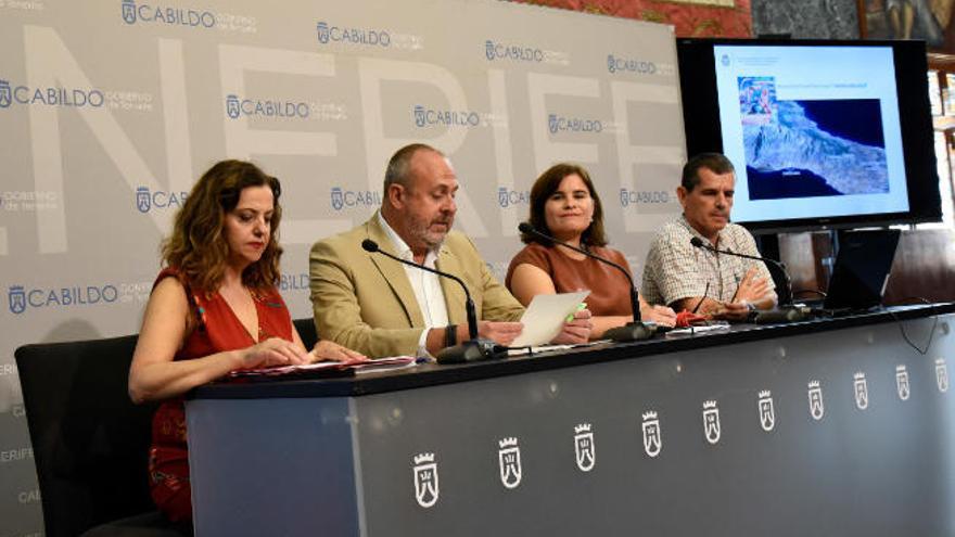 Isabel García, Enrique Arriaga, María Concepción Brito y Pedro Valladares en la presentación del operativo.